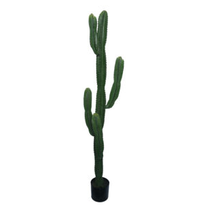 Decorative plant Cactus I in a pot Inart green pp H155cm