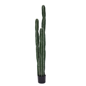 Decorative plant Cactus II in a pot Inart green pp H155cm