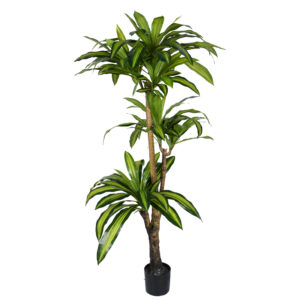 Decorative plant Dracaena I in a pot Inart green pp H170cm