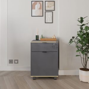 039 000205 2 2 Taker pakoworld office drawer unit on wheels in anthracite shade 41x45x61cmOffice furniture > Drawers office