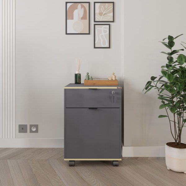 039 000205 2 2 Taker pakoworld office drawer unit on wheels in anthracite shade 41x45x61cmOffice furniture > Drawers office
