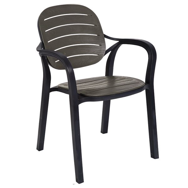 253 000046 4 Armchair Gentle pakoworld PP color anthraciteOutdoor furniture > Garden armchairs