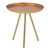 287 000014 4 Side table Easyful Inart rotten apple-gold metal D40x65cmSPRING OFFERS