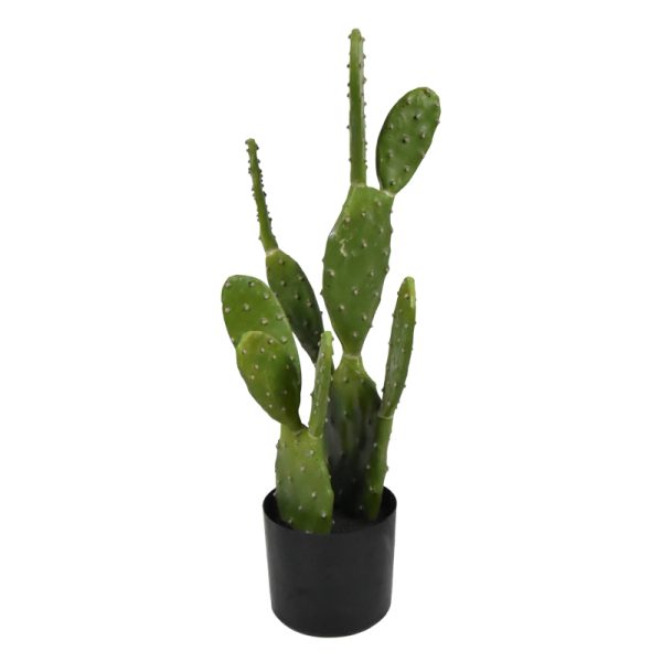 316 000021 12 Cactus decorative plant in a pot Inart green pp H64cmDecoration > Artificial plants