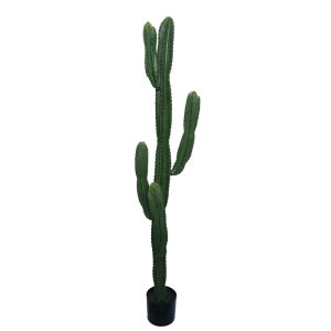 316 000022 6 Decorative plant Cactus I in a pot Inart green pp H155cmDecoration > Artificial plants