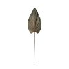 335 000015 6 Mirror Grazzy Inart arum wood in natural shade Φ70x8cmBOHO CHIC > Decoratives
