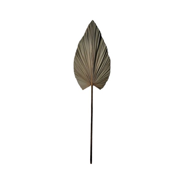 335 000015 6 Deco flower Leafen I Inart natural palm leafBOHO CHIC > Decoratives