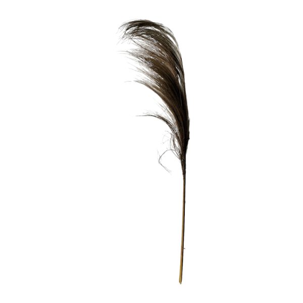 335 000016 3 Deco flower Pampas Inart natural rayungBOHO CHIC > Decoratives