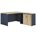 Professional desk