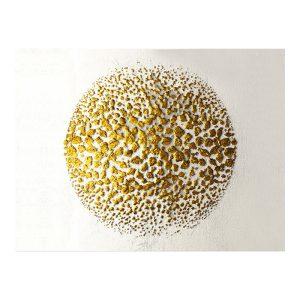 071 001592 Canvas painting Depondy pakoworld with digital printing 70x3x100cmDecoration > Paintings