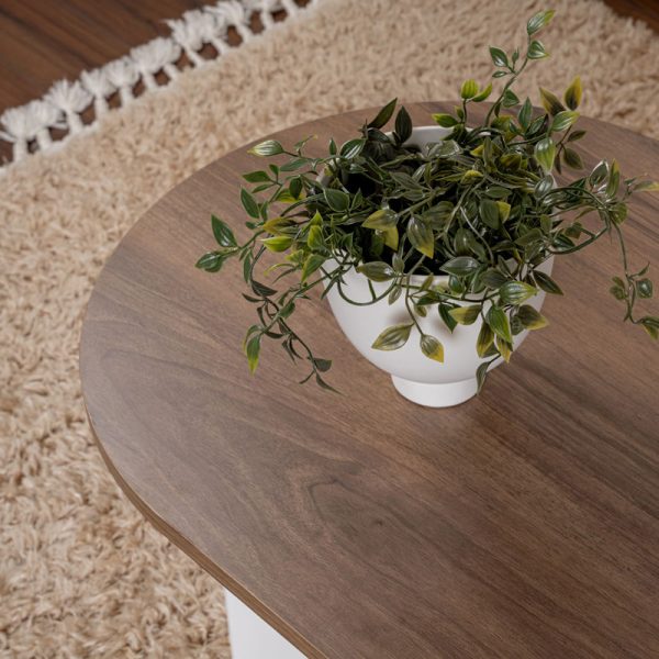 071 001605 3 Coffee table Tabletod pakoworld in walnut-white color 119x60x40cmIndoor furniture > Coffee tables