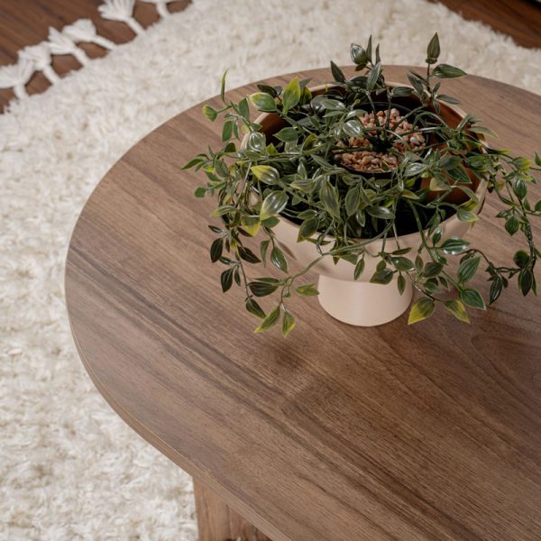 071 001604 3 Coffee table Tabletod pakoworld in walnut color 119x60x40cmIndoor furniture > Coffee tables