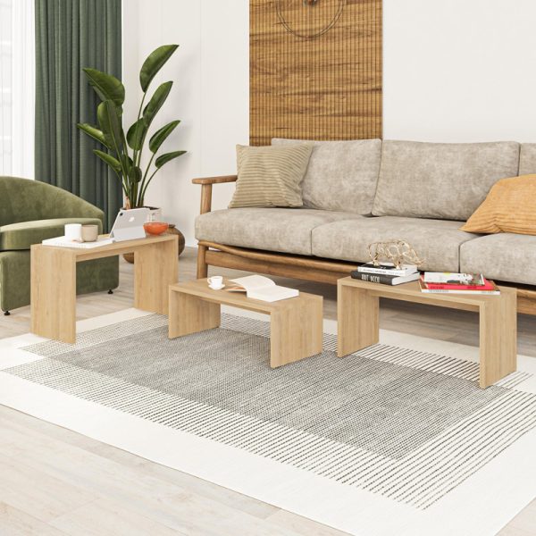 119 001239 3 Kantar pakoworld coffee tables set of 3 in natural color 65x30x39cmIndoor furniture > Dining Tables