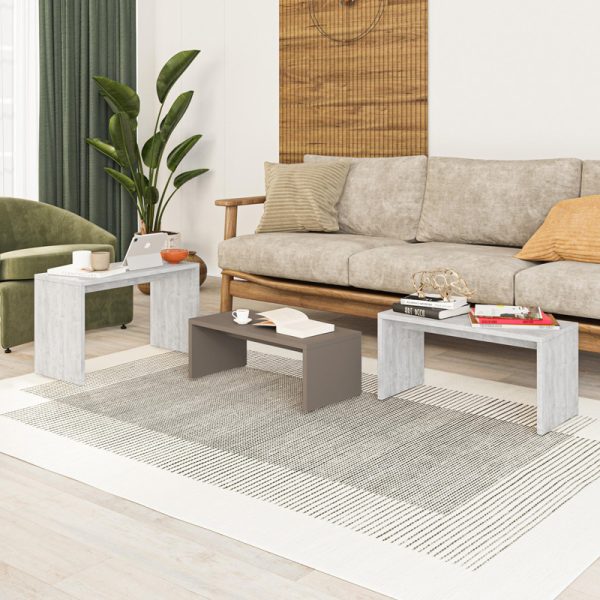 119 001244 3 Kantar pakoworld coffee tables set of 3 in antique white - mocha color 65x30x39cmIndoor furniture > Dining Tables