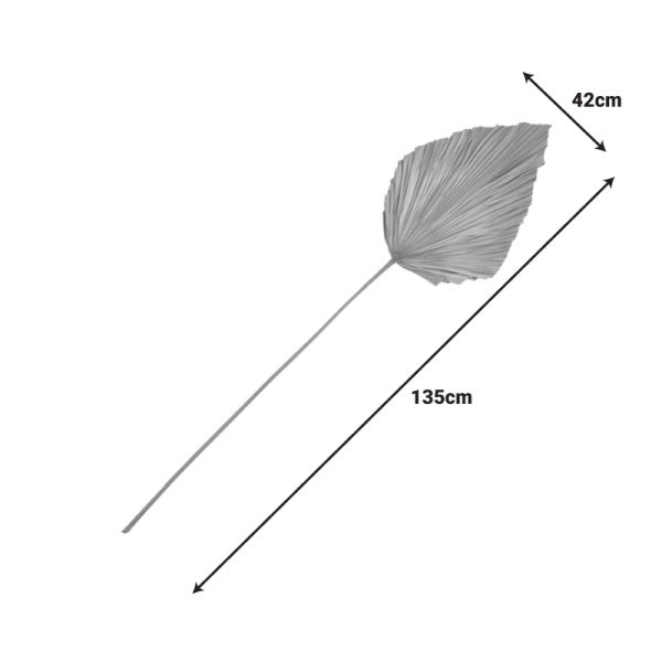 343 000115 2 Deco leaf Walsy Inart palm leaf in natural color H135cmBOHO CHIC > Decoratives