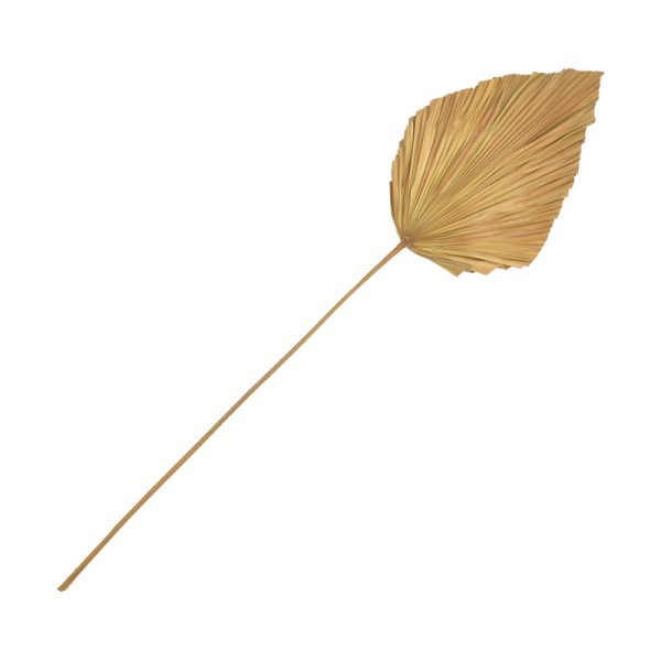 343 000115 Deco leaf Walsy Inart palm leaf in natural color H135cmBOHO CHIC > Decoratives