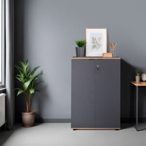 039 000207 1 Office cabinet Taker I Argos The Classic in anthracite shade 72x34x109cm