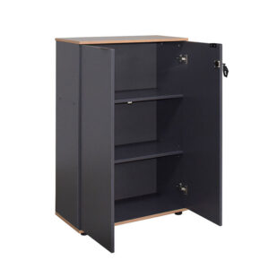 039 000207 2 Office cabinet Taker I Argos The Classic in anthracite shade 72x34x109cm