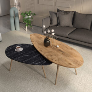 Monty Argos The Classic 2pcs coffee tables in natural-black marble shade