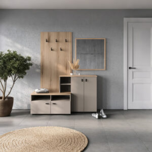 Entrance Furniture with Mirror