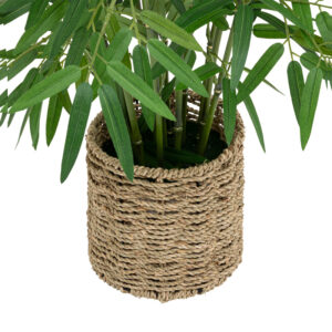 199 000650 1 Potted plant Belica Argos The Classic D45x100cm