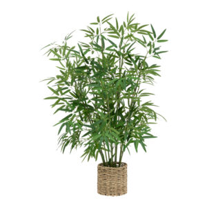 199 000650 Potted plant Belica Argos The Classic D45x100cm