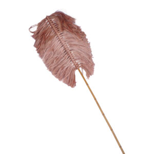 Decorative Flerry Argos The Classic mat in natural shade 20x200x8cm