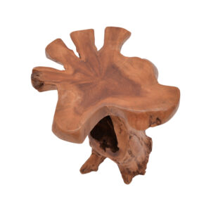 338 000005 2 Side table Mushile Argos The Classic teak wood in natural shade 30x35x45cm