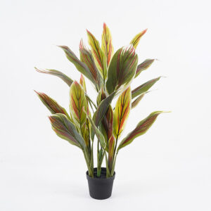 Decorative plant in pot Cycas Argos The Classic green D55x80cm