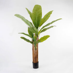 Decorative plant in a pot Banana Tree Argos The Classic green D53x190cm