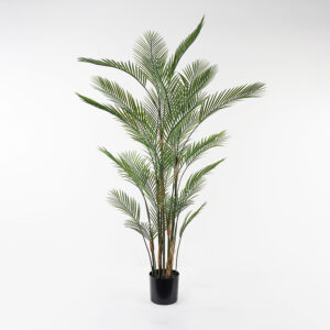 391 000008 Decorative plant in a pot Kwai Argos The Classic green D125x180cm