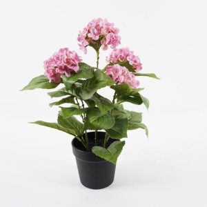 Decorative plant in a pot Hydrangea Argos The Classic pink D35x50cm