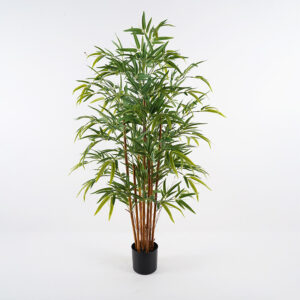 Decorative plant in a pot Rhapis Palm Argos The Classic green D60x120cm