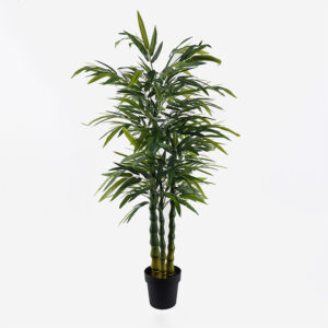Decorative plant in a pot Arti Bamboo Argos The Classic green D70x150cm