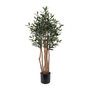 Decorative plant in pot Olia Argos The Classic green D52x120cm