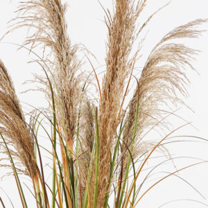 391 000022 1 Decorative plant in a pot Bulrush Argos The Classic D65x120cm