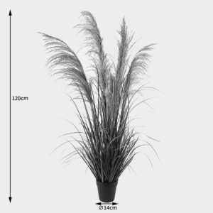391 000022 3 Decorative plant in a pot Bulrush Argos The Classic D65x120cm