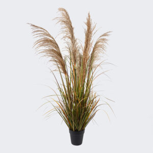 391 000022 Decorative plant in a pot Bulrush Argos The Classic D65x120cm