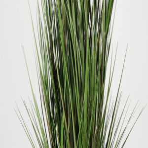 391 000025 1 Decorative plant in a pot Boxwood Argos The Classic green D46x150cm