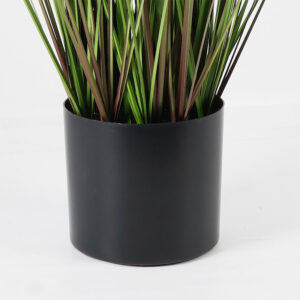 391 000025 2 Decorative plant in a pot Boxwood Argos The Classic green D46x150cm