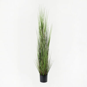 391 000025 Decorative plant in a pot Boxwood Argos The Classic green D46x150cm