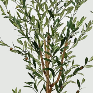 391 000028 1 Decorative plant in pot Olia Argos The Classic green 65x55x180cm