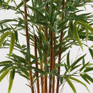 391 000029 1 Decorative plant in a pot Rhapis Palm Argos The Classic green D80x180cm