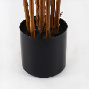 391 000029 2 Decorative plant in a pot Rhapis Palm Argos The Classic green D80x180cm