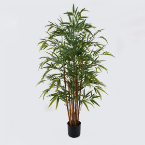391 000029 Decorative plant in a pot Rhapis Palm Argos The Classic green D80x180cm