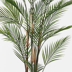 391 000030 1 Decorative plant in a pot Kwai Argos The Classic green D92x150cm
