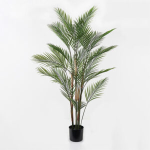 391 000030 Decorative plant in a pot Kwai Argos The Classic green D92x150cm