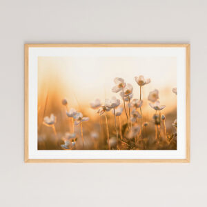 409 000003 Wall art in frame Floraza Argos The Classic with digital print 48x1.5x33cm