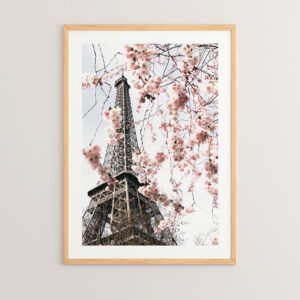 409 000050 Wall art in frame Pariza Argos The Classic with digital print 33x1.5x48cm