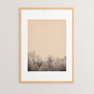 Wall art in frame Quany Argos The Classic with digital print 33x1.5x48cm